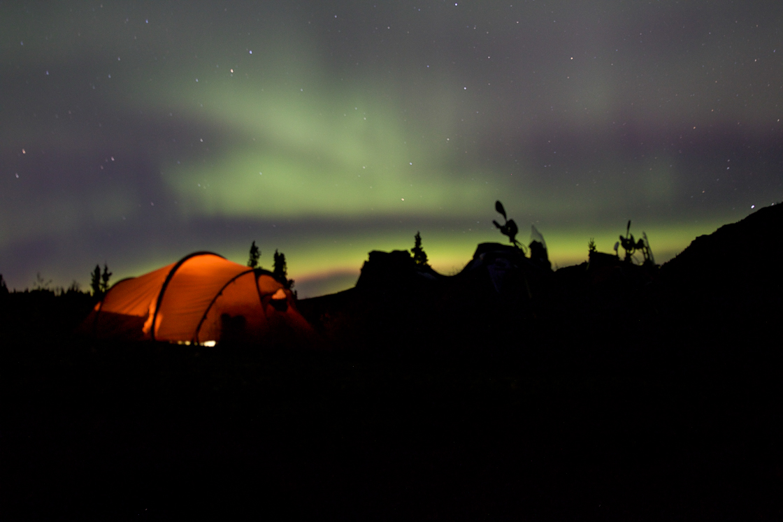 Northern lights while camping in Denali National Park